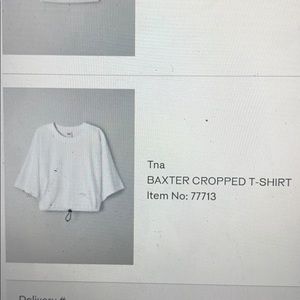 Tna Baxter Cropped T-shirt